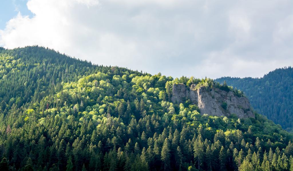 Complex Anna BaileTusnad Dış mekan fotoğraf